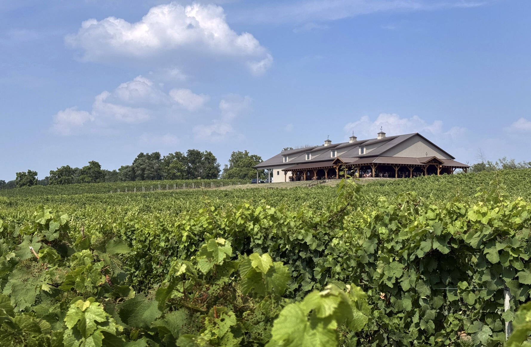 Quarry Ridge Winery 7.JPG